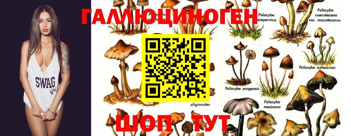 Псилоцибиновые грибы Magic Shrooms  Вход с VPN  Ростов Великий 